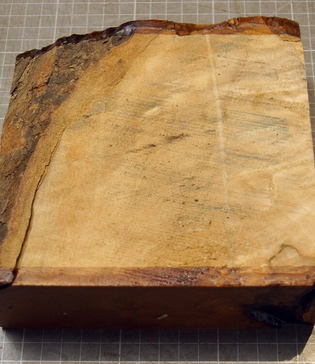 Ahorn, RIEGELAHORN, ca. 161 x 162 x 55mm, 1,24kg