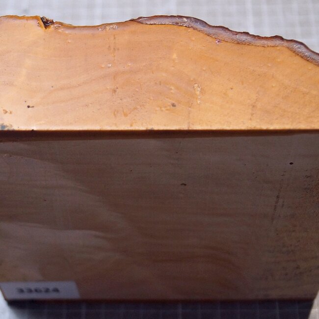 Ahorn, RIEGELAHORN, ca. 161 x 162 x 55mm, 1,24kg