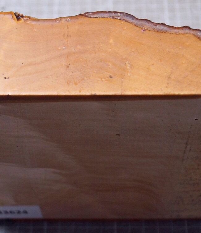 Ahorn, RIEGELAHORN, ca. 161 x 162 x 55mm, 1,24kg