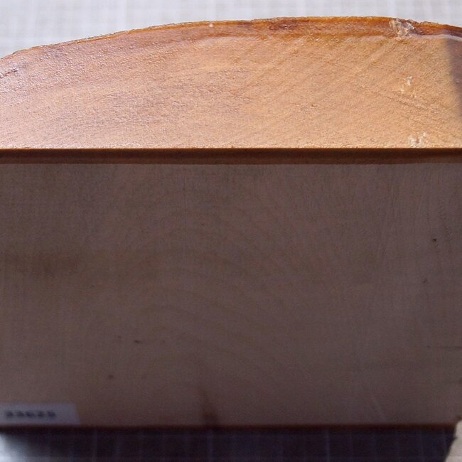 Ahorn, RIEGELAHORN, ca. 202 x 203 x 52mm, 1,48kg