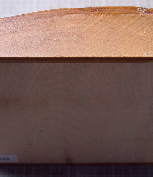 Ahorn, RIEGELAHORN, ca. 202 x 203 x 52mm, 1,48kg