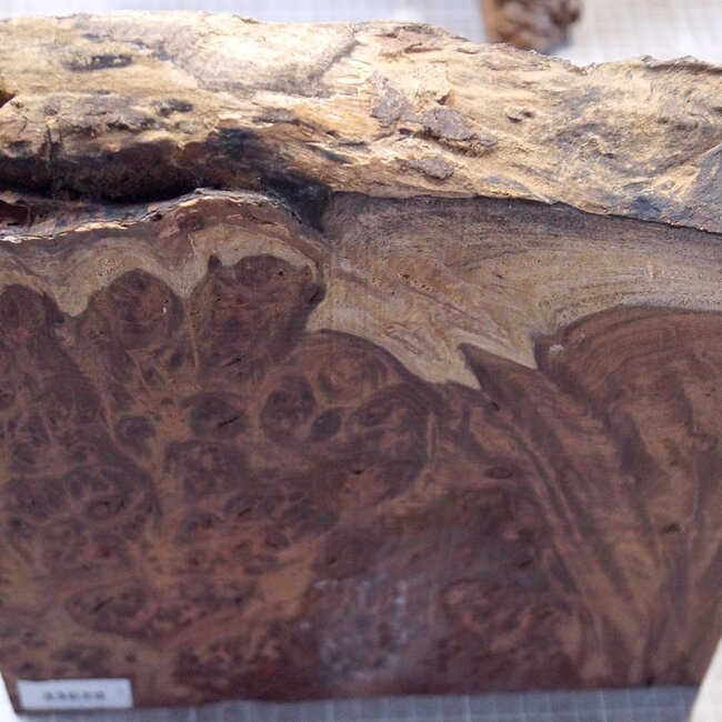 Kenthao Ironwood, approx.  253 x 265 x 38mm, 2,84kg