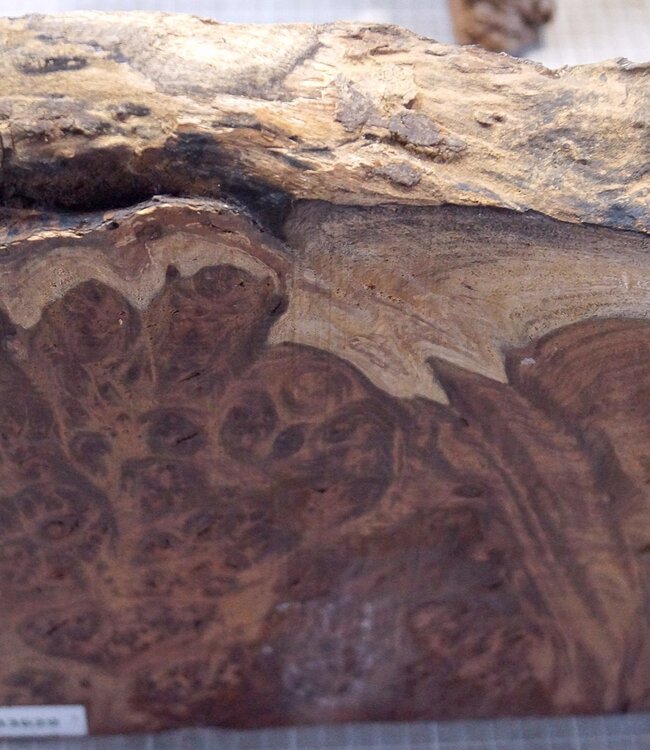 Kenthao Eisenholz, ca. 253 x 265 x 38mm, 2,84kg