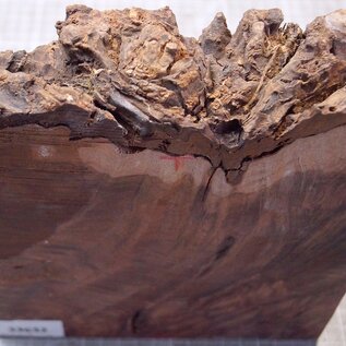 Kenthao Eisenholz, ca. 187 x 180 x 44mm, 1,88kg