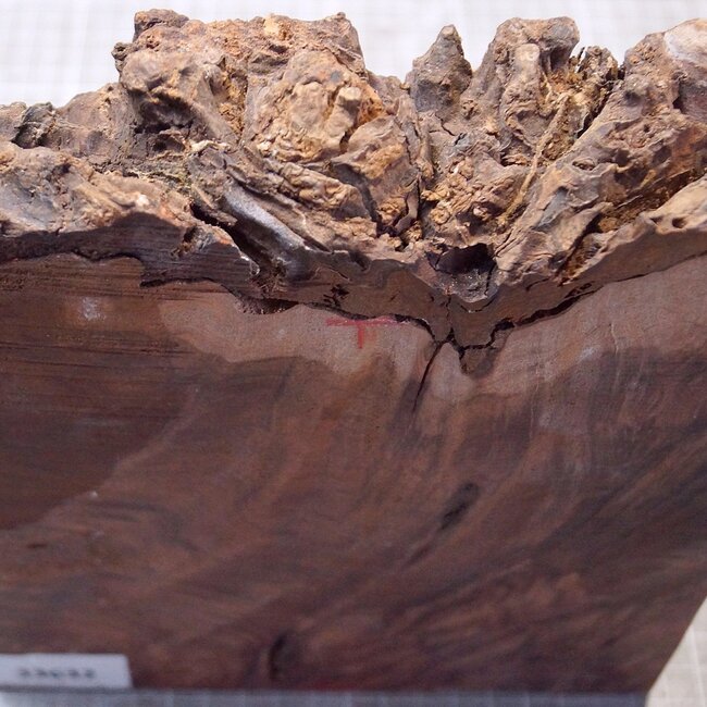 Kenthao Ironwood, approx. 187 x 180 x 44mm, 1,88kg