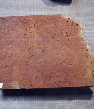 Jarrah Burl, approx. 420 x 338 x 105mm, 10,94kg
