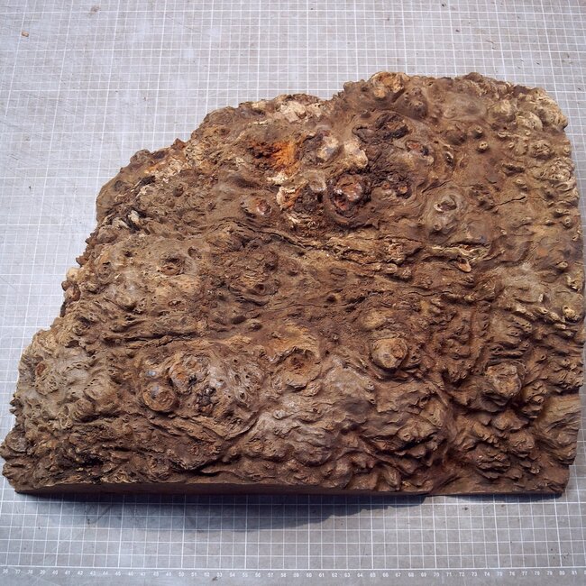 Jarrah Burl, approx. 420 x 338 x 105mm, 10,94kg