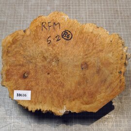 Goldfield Maser Knolle, ca. 280 x 220 x 90mm, 3,64kg