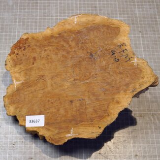 Goldfield Burl knot, approx. 250 x 240 x 110mm, 2,72kg