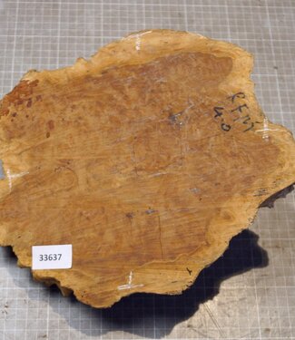 Goldfield Maser Knolle, ca. 250 x 240 x 110mm, 2,72kg