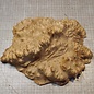 Goldfield Burl knot, approx. 250 x 240 x 110mm, 2,72kg