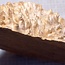 Goldfield Maser Knolle, ca. 250 x 240 x 110mm, 2,72kg