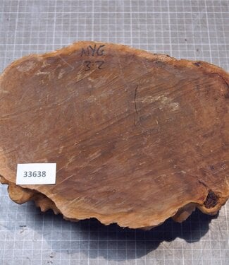 Goldfield Burl knot, approx. 270 x 190 x 70mm, 2,28kg