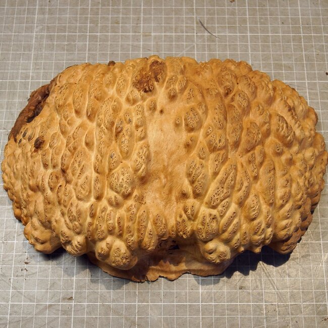 Goldfield Burl knot, approx. 270 x 190 x 70mm, 2,28kg