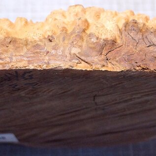 Goldfield Burl knot, approx. 270 x 190 x 70mm, 2,28kg