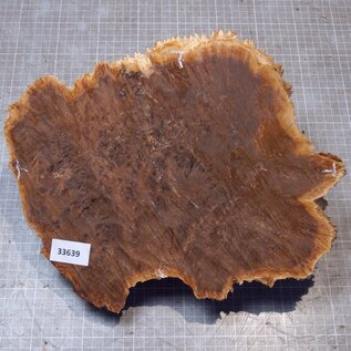 Goldfield Maser Knolle, ca. 305 x 220 x 95mm, 3,56kg