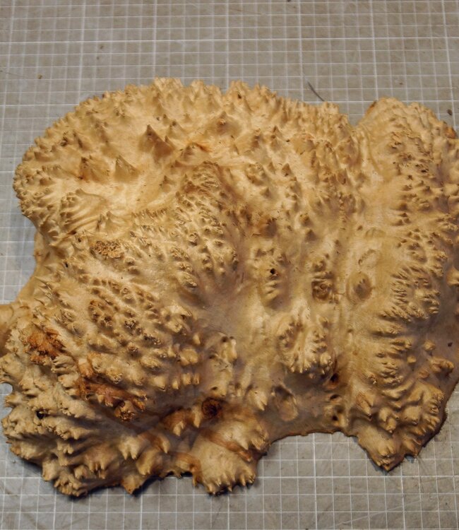 Goldfield Maser Knolle, ca. 305 x 220 x 95mm, 3,56kg