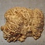 Goldfield Burl knot, approx. 305 x 220 x 95mm, 3,56kg