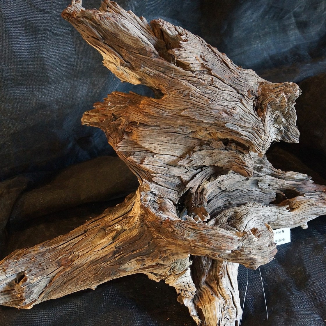 Root wood sculptures
