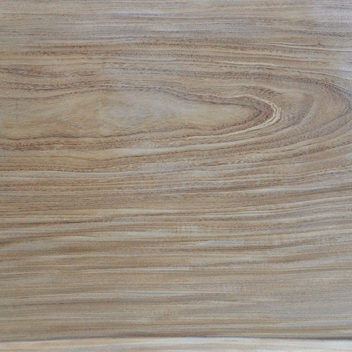 Afrormosia, Assamela