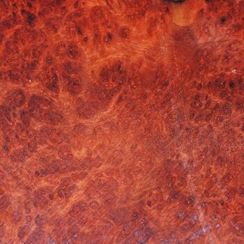 Amboyna Burl
