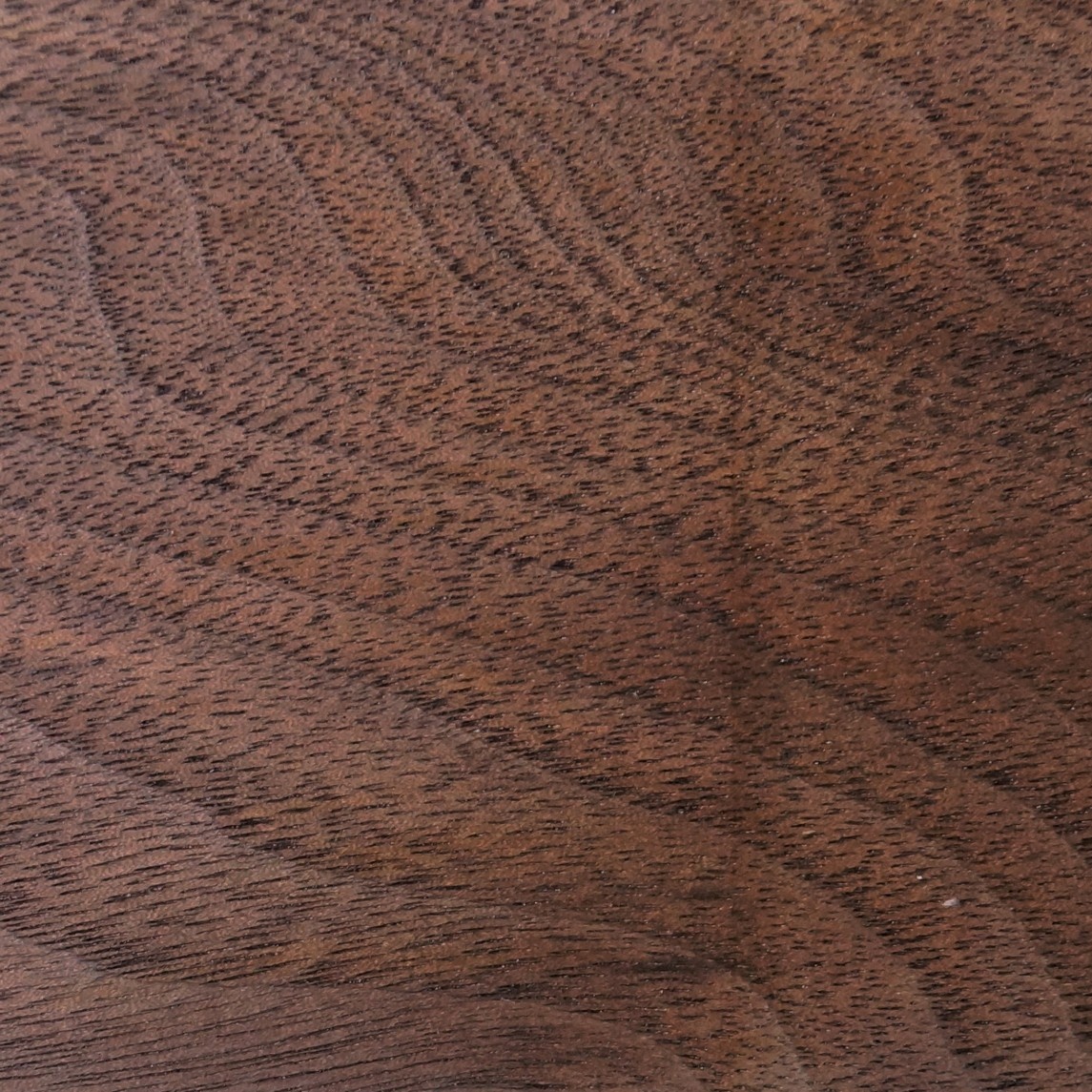 Nussbaum, Black Walnut