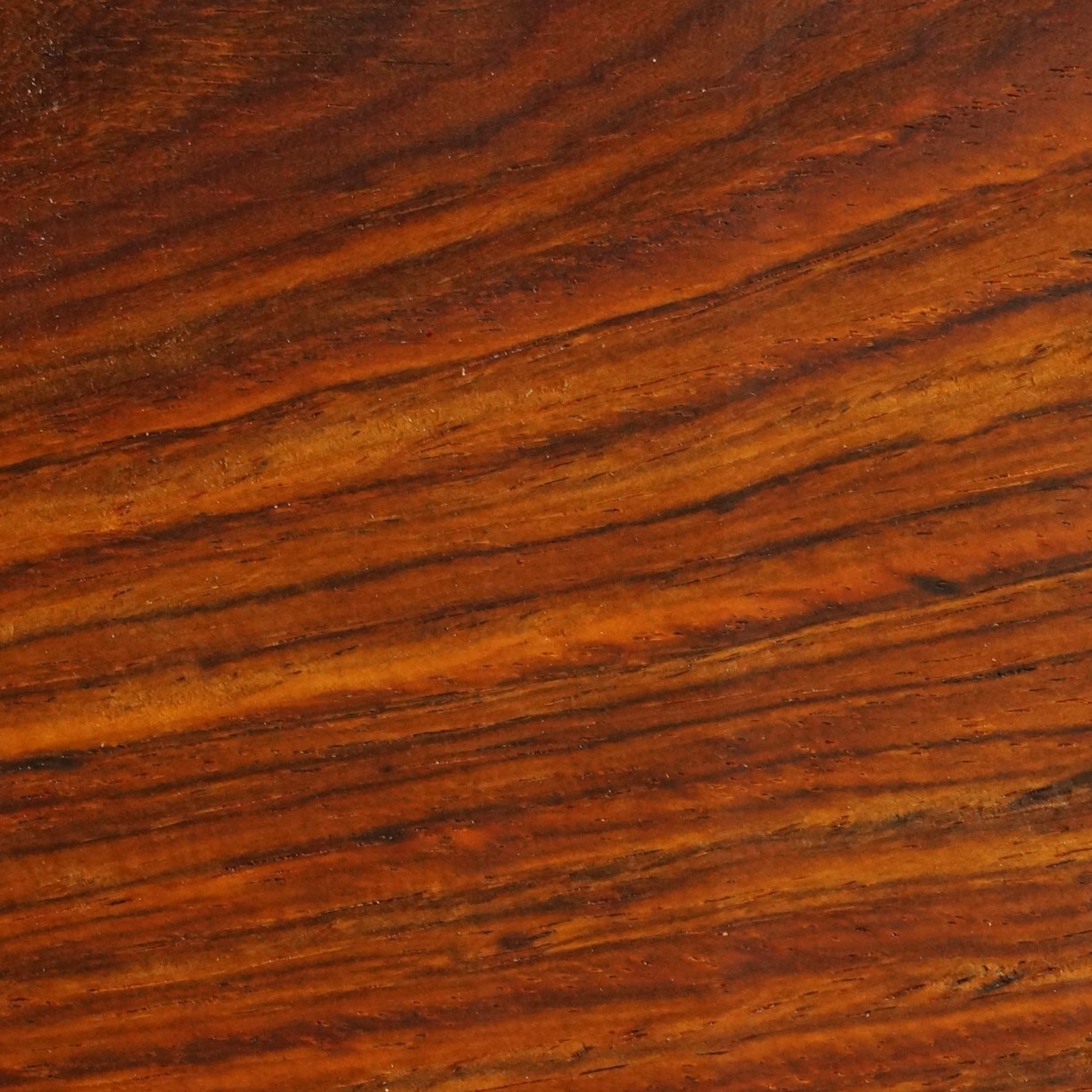 Cocobolo Rosewood