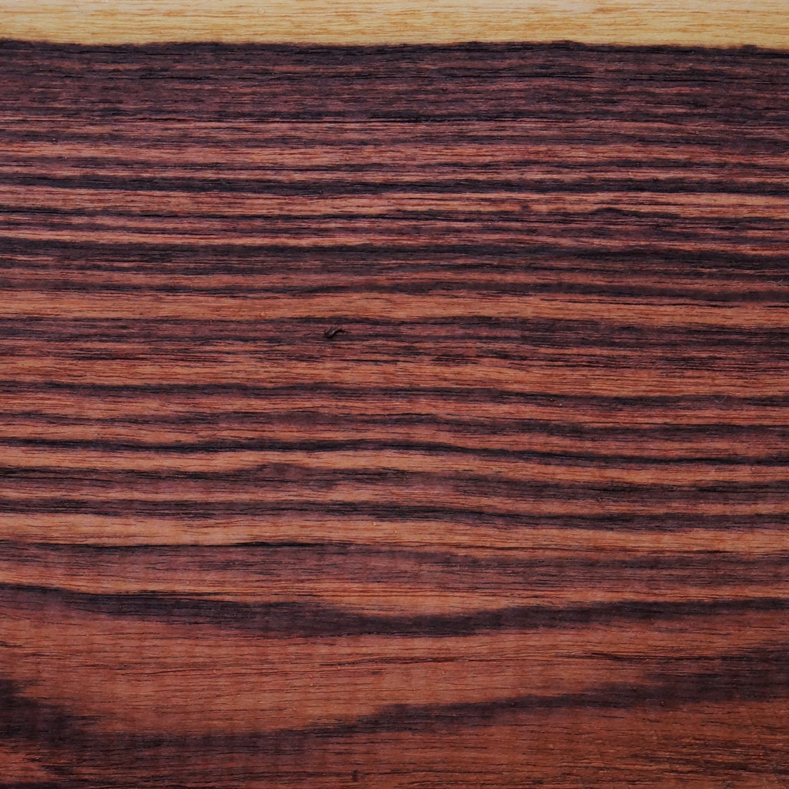 Palisander, KÖNIGSHOLZ