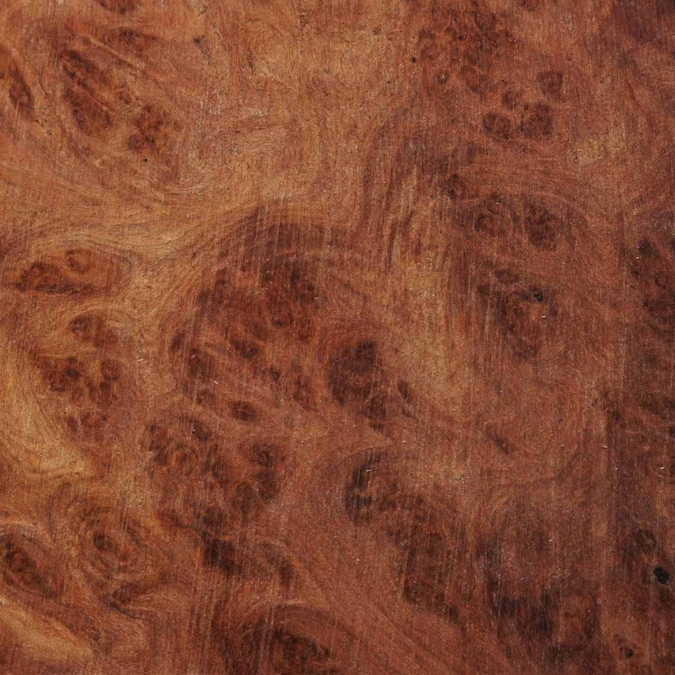 Sindora Burl