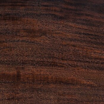 Desert Ironwood