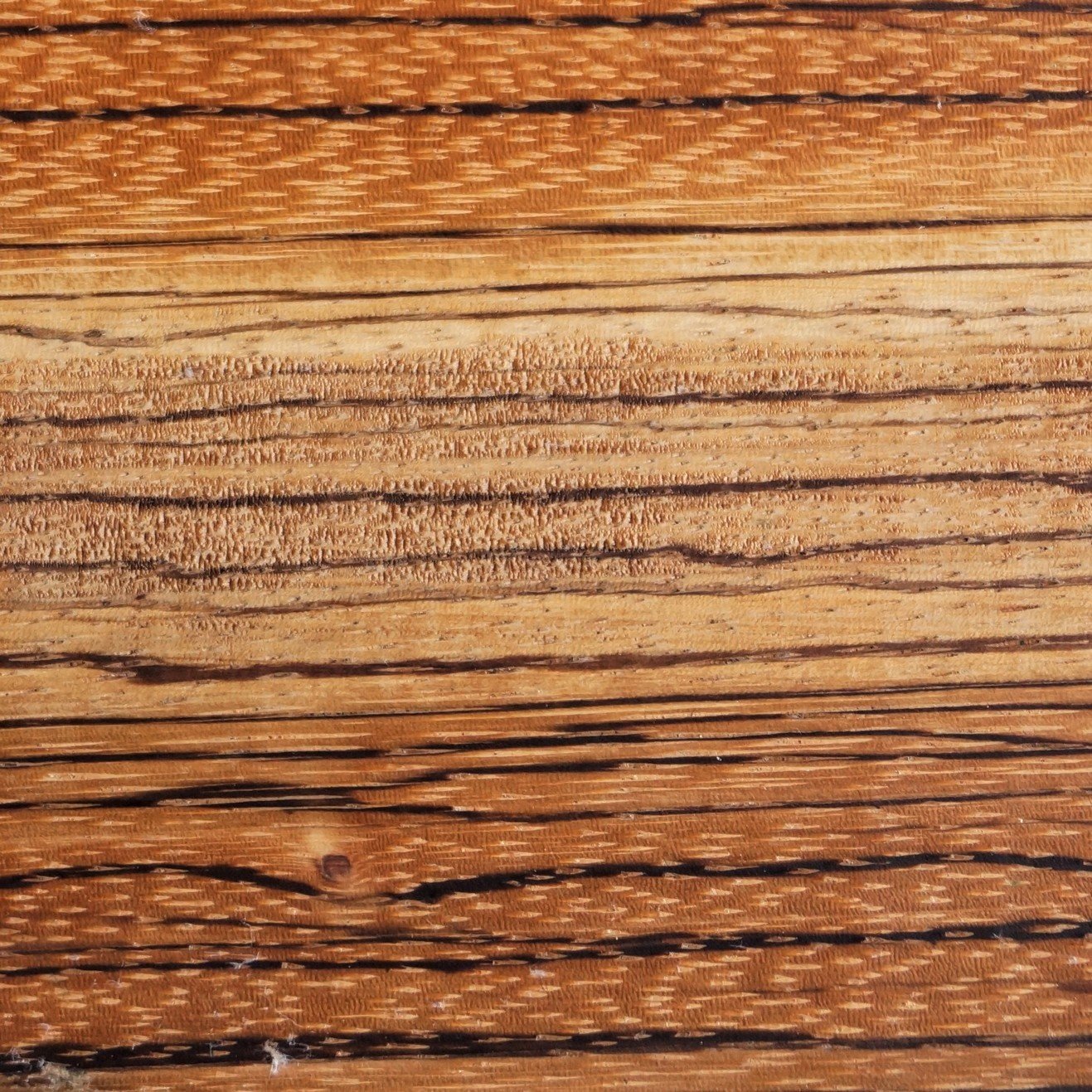 Zebrawood