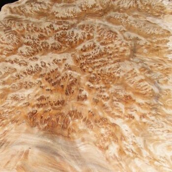 Goldfield Burl