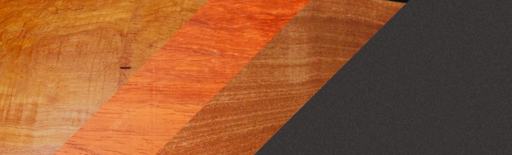 18. CITES Conference Information