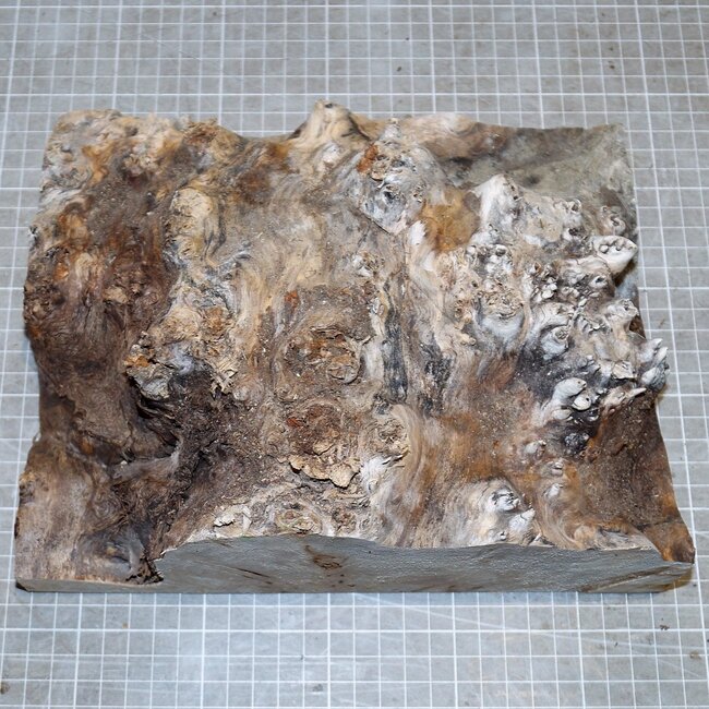 Mappa, poplar burl, approx. 250 x 205 x 70mm, 1,5kg