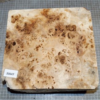 Mappa, poplar burl, approx.  260 x 205 x 75mm, 2,0kg