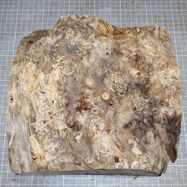 Mappa, poplar burl, approx.  260 x 205 x 75mm, 2,0kg