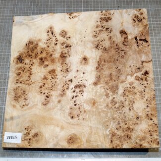 Pappel Maser, ca. 325 x 315 x 65mm, 2,8kg