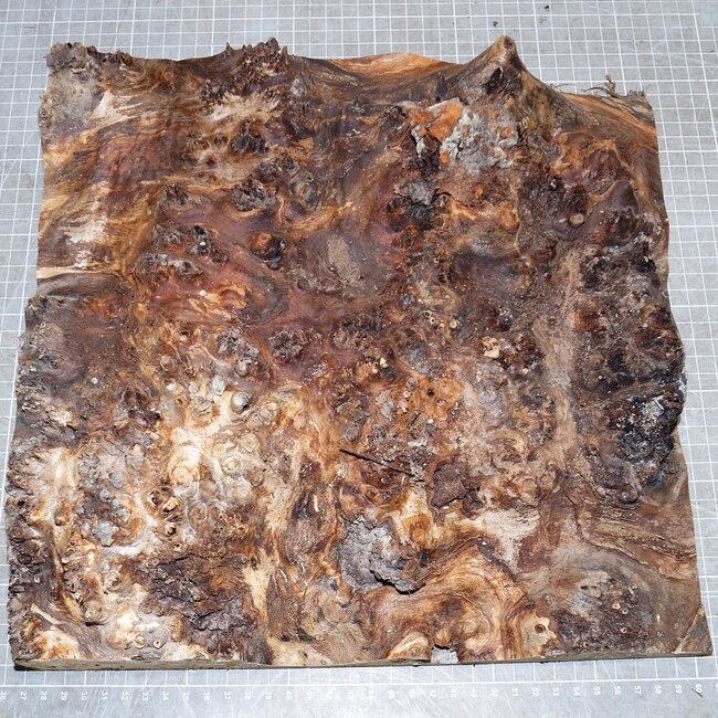 Mappa, poplar burl, approx. 325 x 315 x 65mm, 2,8kg