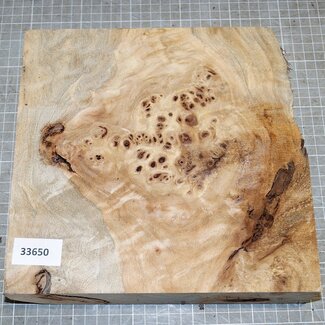 Mappa, poplar burl, approx. 240 x 235 x 52mm, 1,1kg