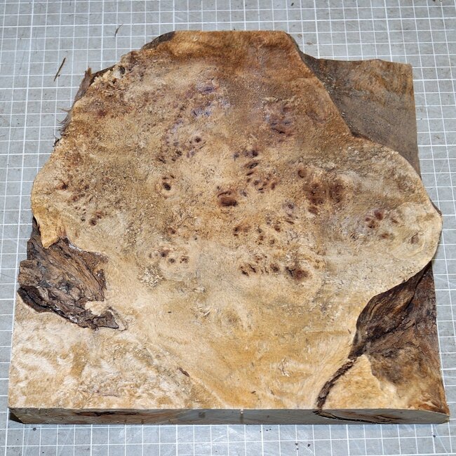 Mappa, poplar burl, approx. 240 x 235 x 52mm, 1,1kg
