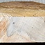 Mappa, poplar burl, approx. 240 x 235 x 52mm, 1,1kg