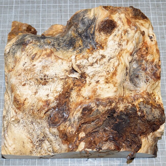 Mappa, poplar burl, approx. 235 x 225 x 65mm, 1,5kg