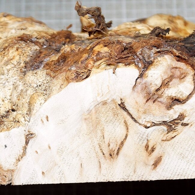 Mappa, poplar burl, approx. 235 x 225 x 65mm, 1,5kg