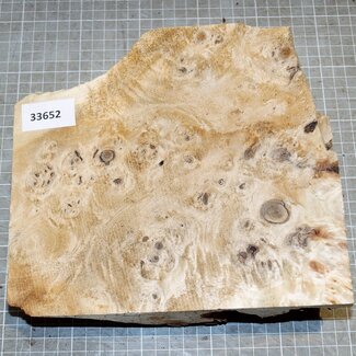 Pappel Maser, ca. 220 x 200 x 52mm, 0,6kg