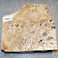 Mappa, poplar burl, approx. 220 x 200 x 52mm, 0,6kg