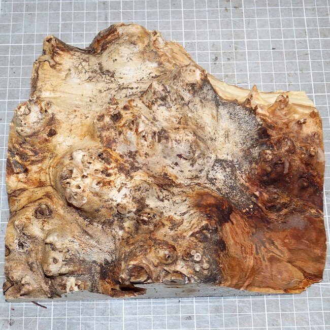 Mappa, poplar burl, approx. 220 x 200 x 52mm, 0,6kg