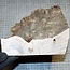 Mappa, poplar burl, approx. 210 x 150 x 20-80mm, 0,9kg
