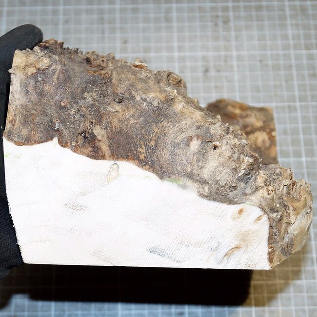 Mappa, poplar burl, approx. 210 x 150 x 20-80mm, 0,9kg