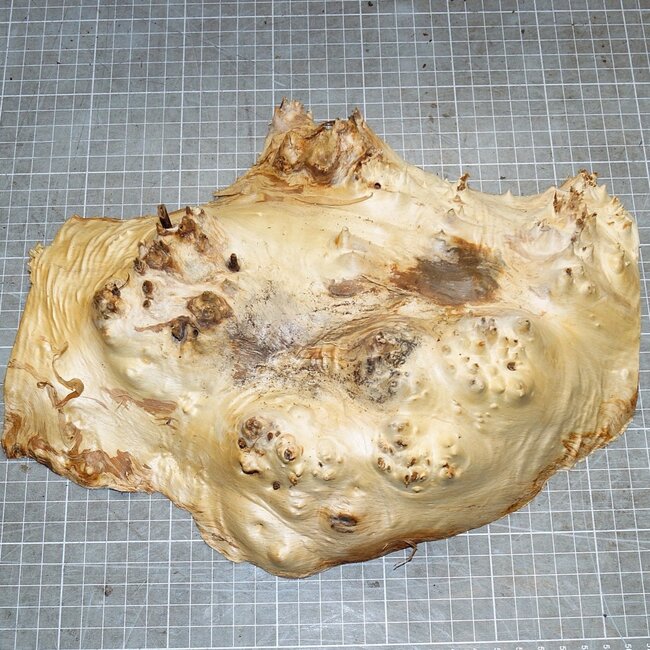 Mappa, poplar burl, approx. 295 x 165 x 40mm, 0,7kg