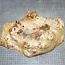 Mappa, poplar burl, approx. 295 x 165 x 40mm, 0,7kg